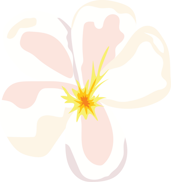 Watercolor Plumeria frangipani flower Tropical